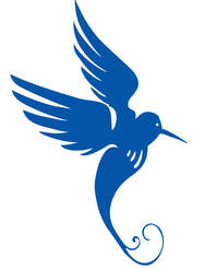 about bird as logo bluebird narelle painter